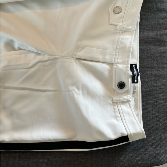 Karl Lagerfield - Picture 4 of 6